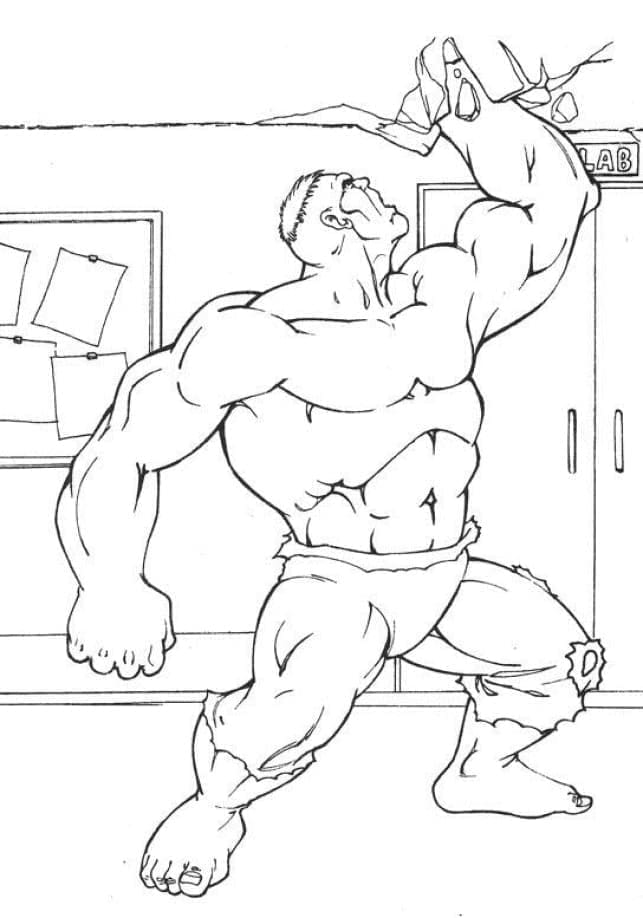 Bojanke Osnovni Hulk