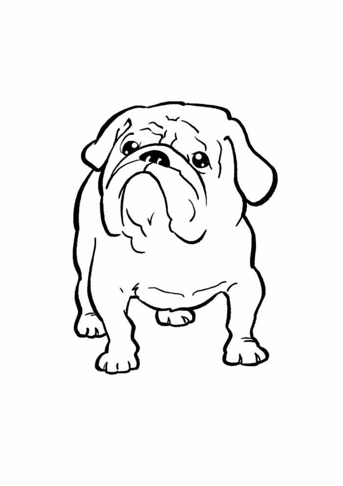Pas 3 coloring page