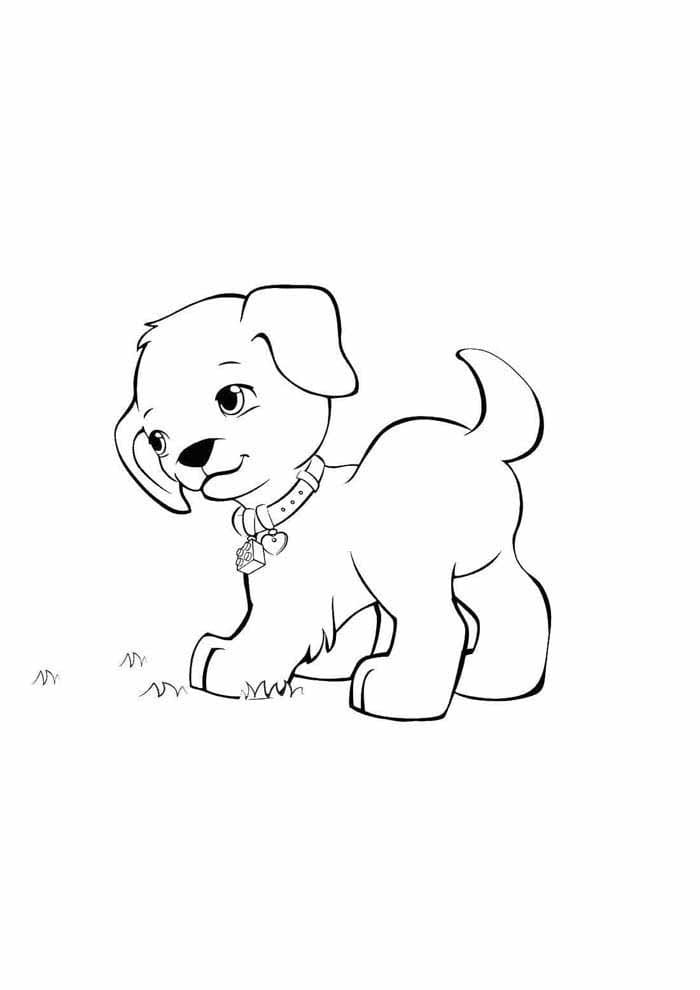 Pas 5 coloring page