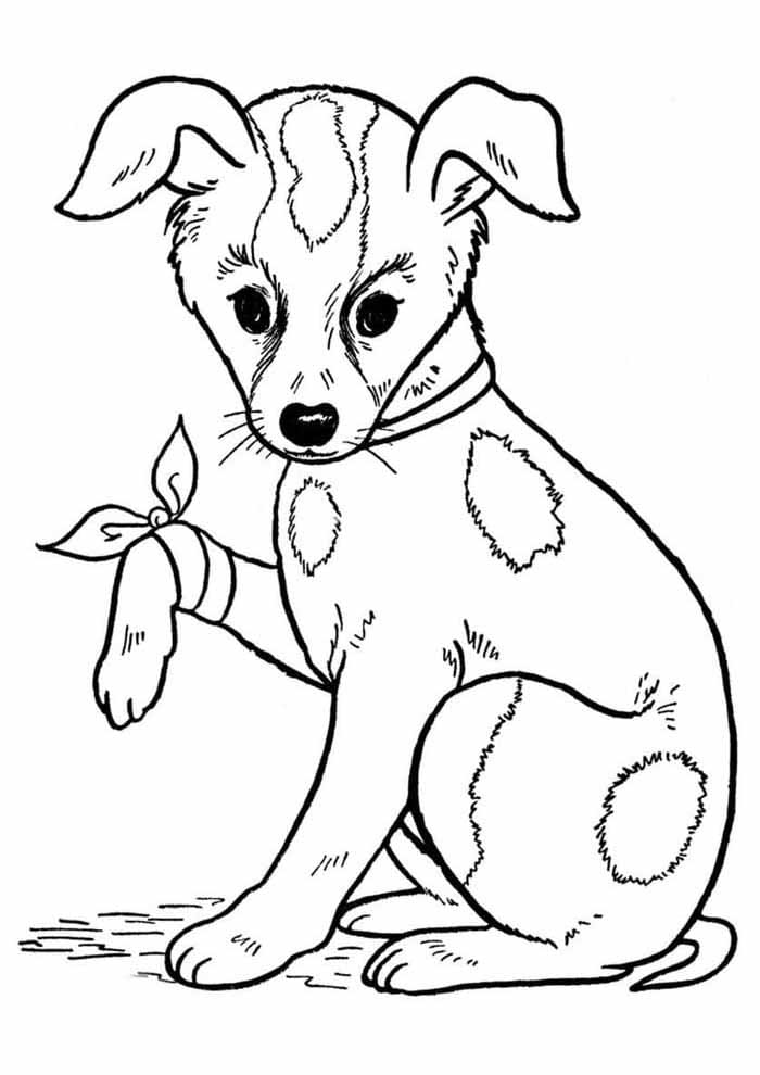 Pas 6 coloring page