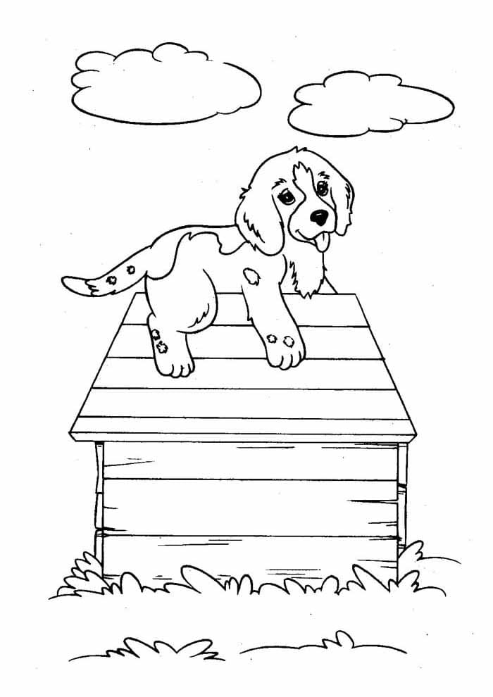 Pas 7 coloring page