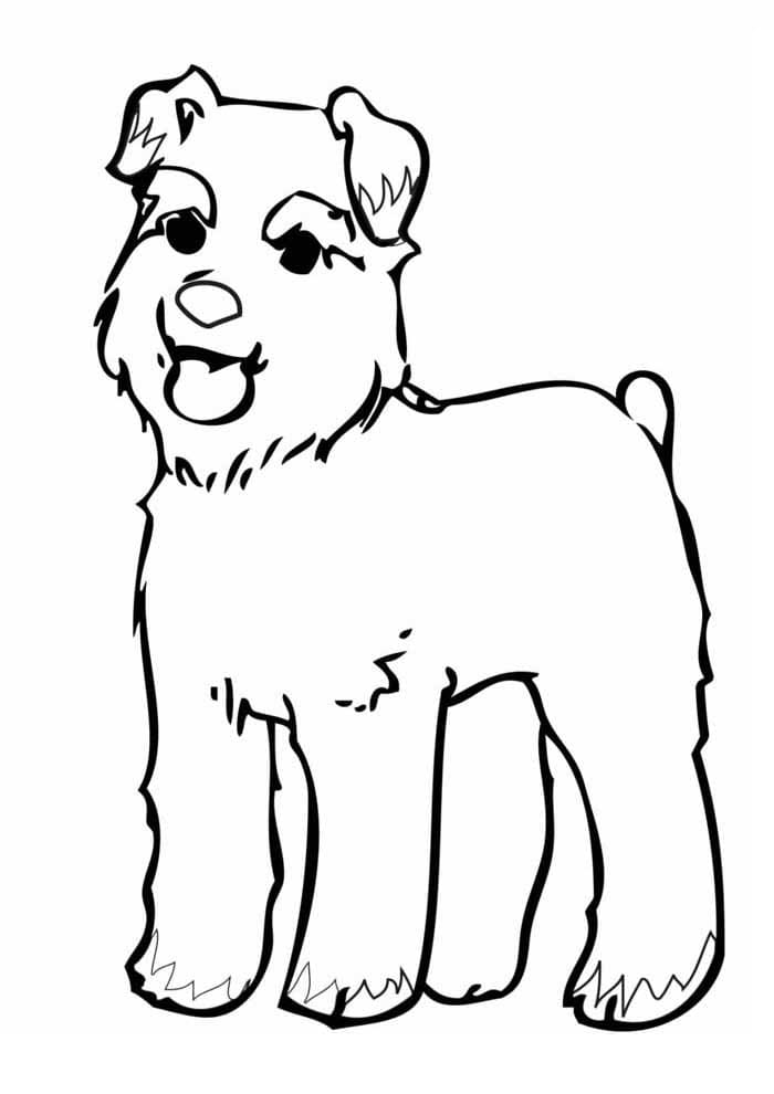 Pas 9 coloring page