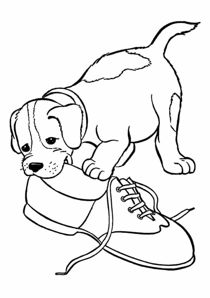 Pas i Cipela coloring page