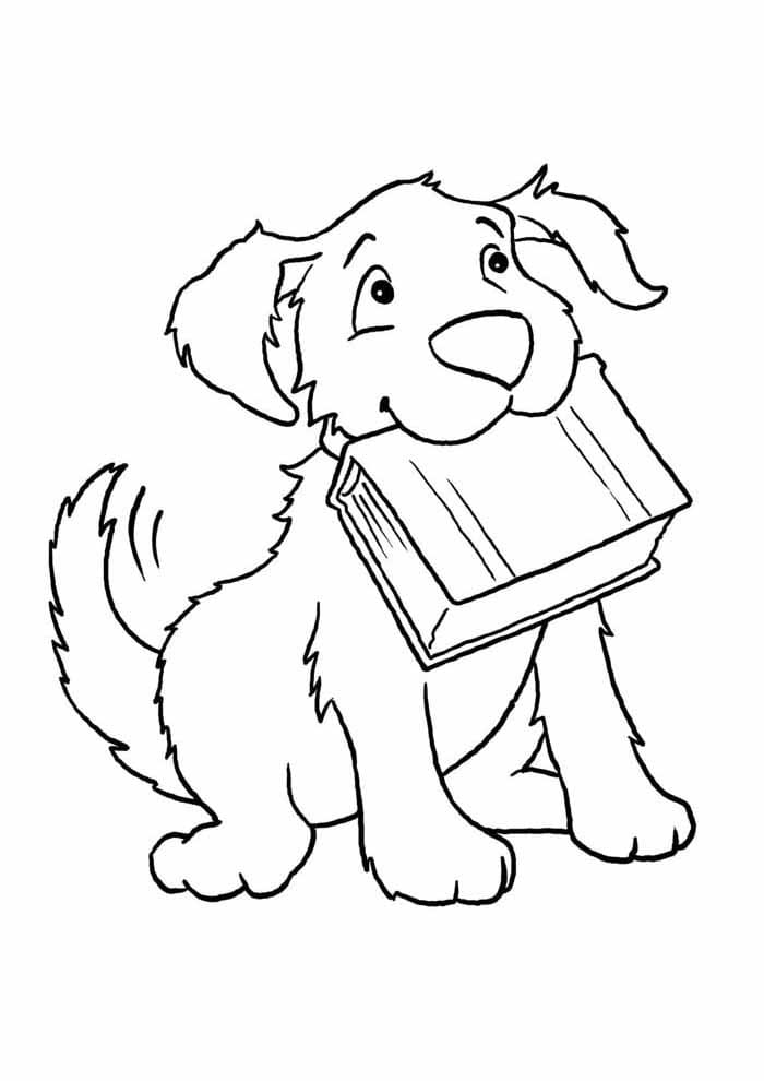 Pas i Knjiga coloring page