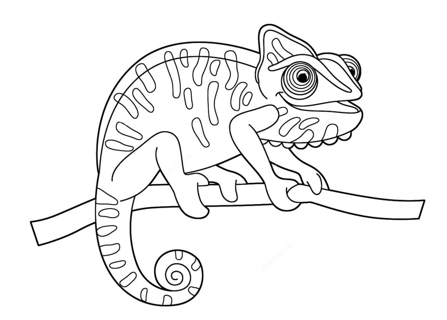 Bojanke Nacrtajte kameleon koji se smije