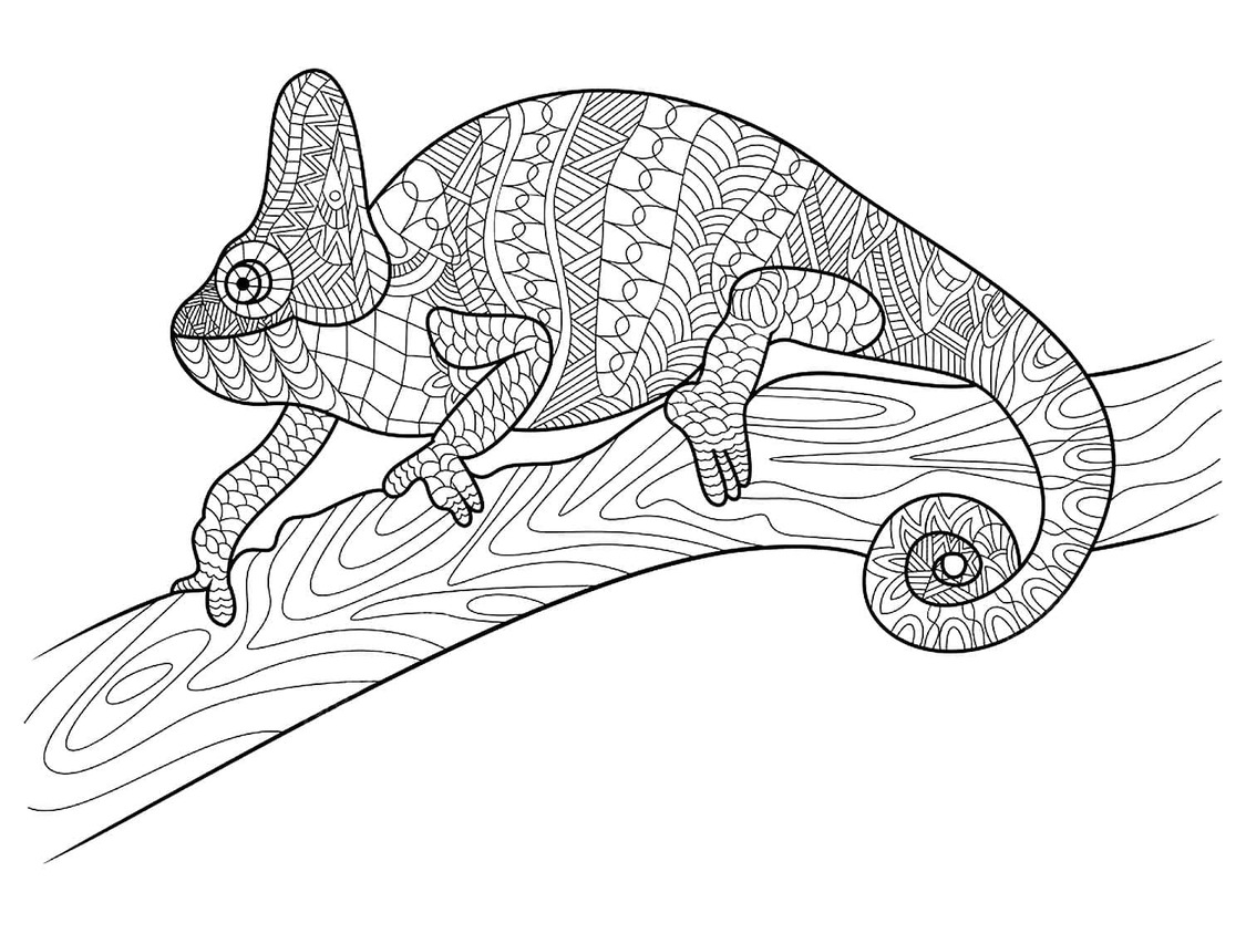 Bojanke Nacrtajte kameleon nevjerojatno