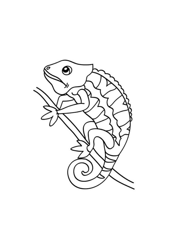 Bojanke Nacrtajte kameleon