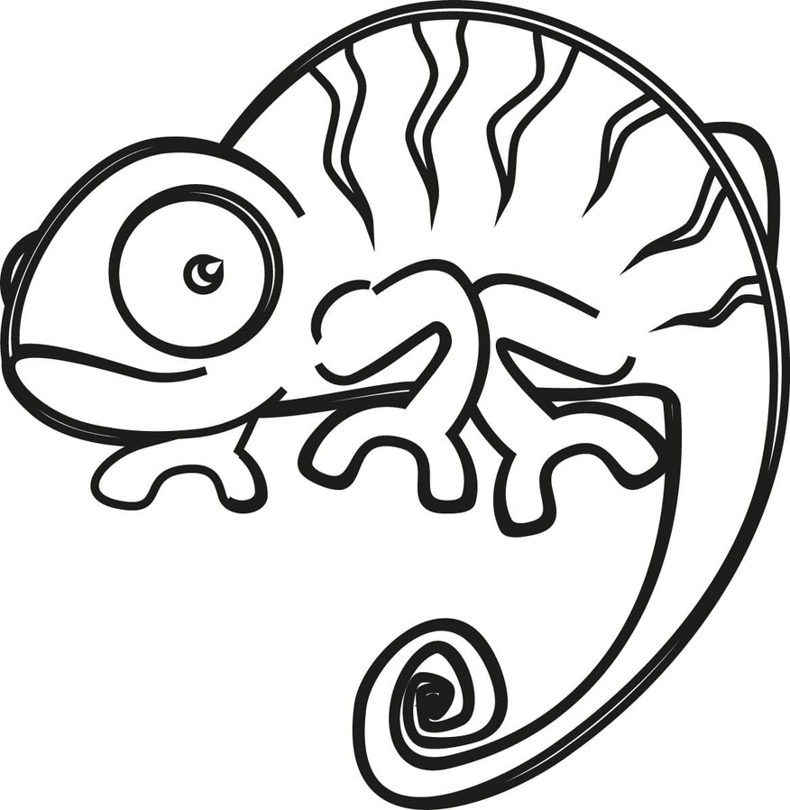Bojanke Kameleon