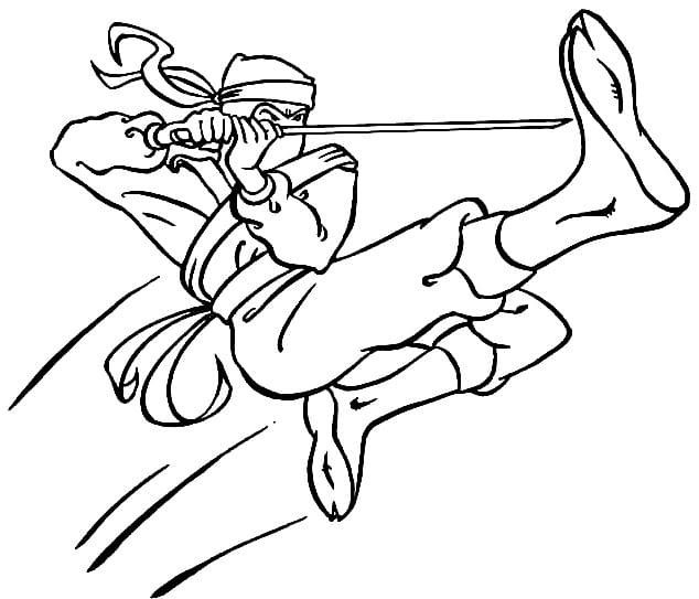 Bojanke Ninja