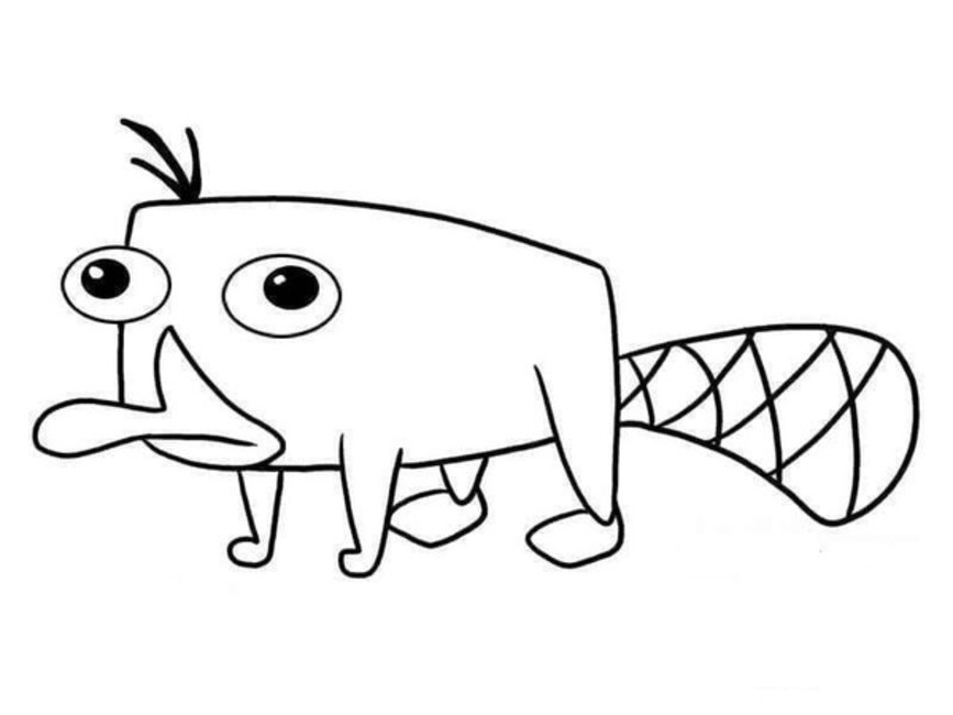 Bojanke Nacrtajte Perry u Phineas i Ferb