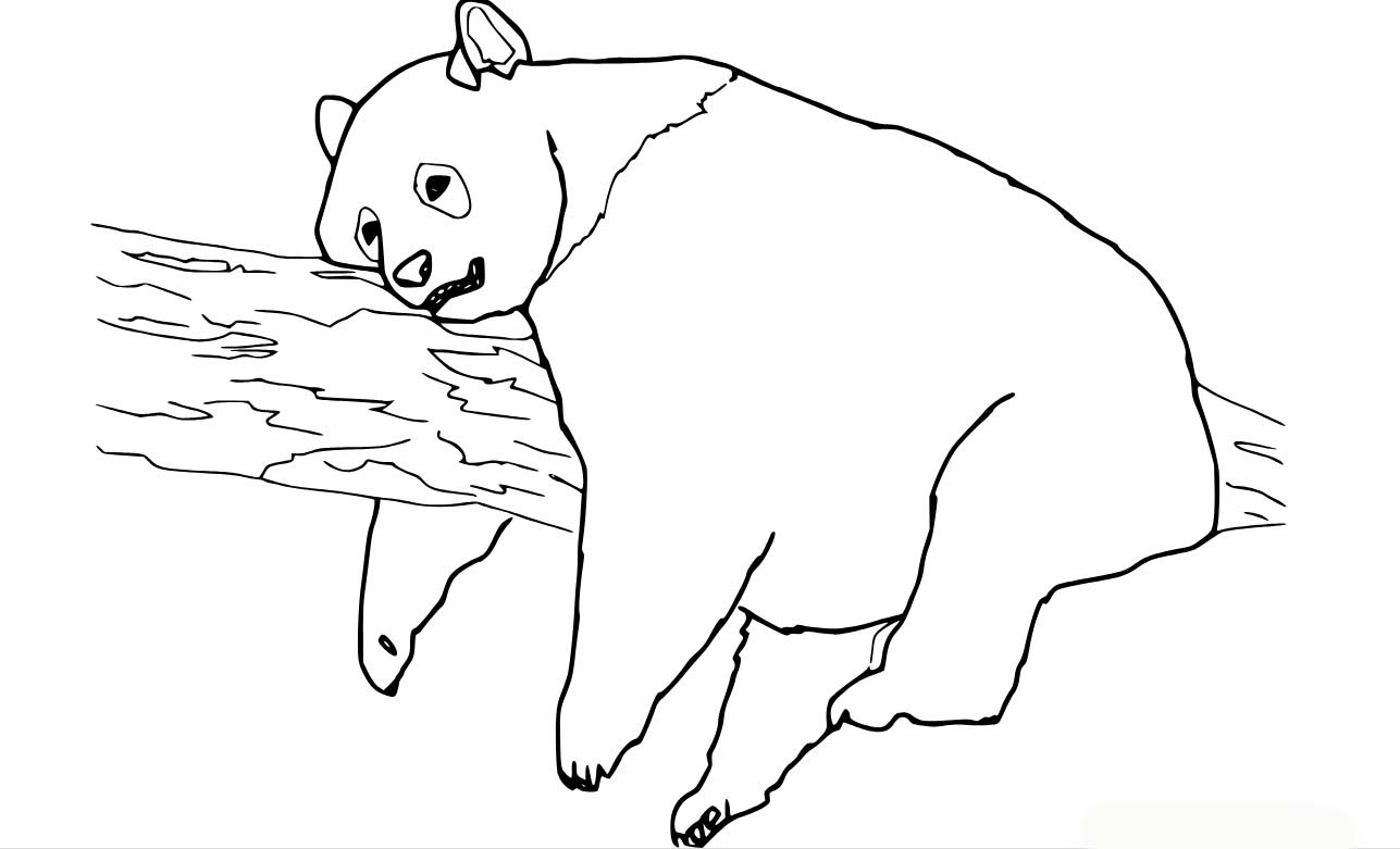 Bojanke Panda vrlo jednostavno