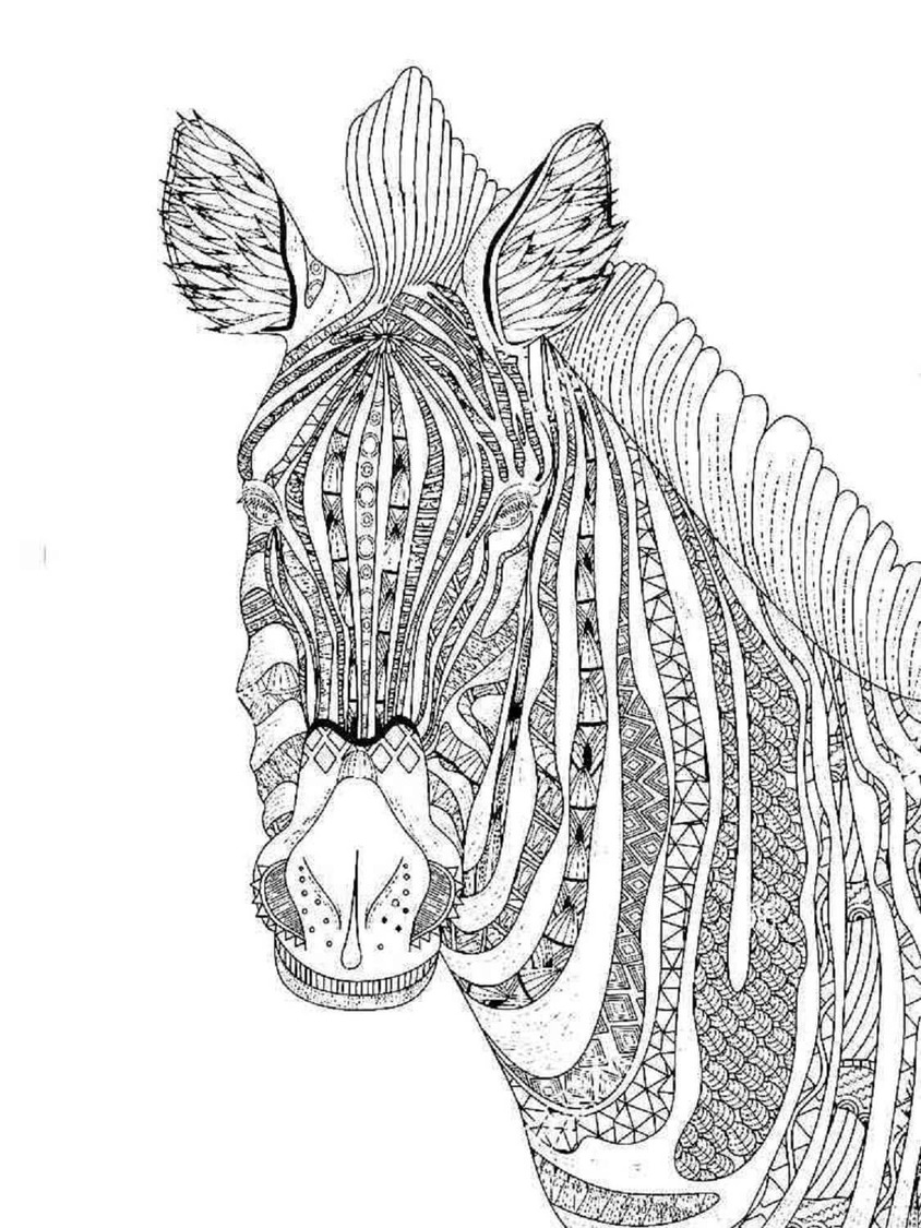 Bojanke Nacrtaj Zebra glava