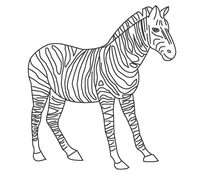 Bojanke Nacrtaj Zebra osnovno