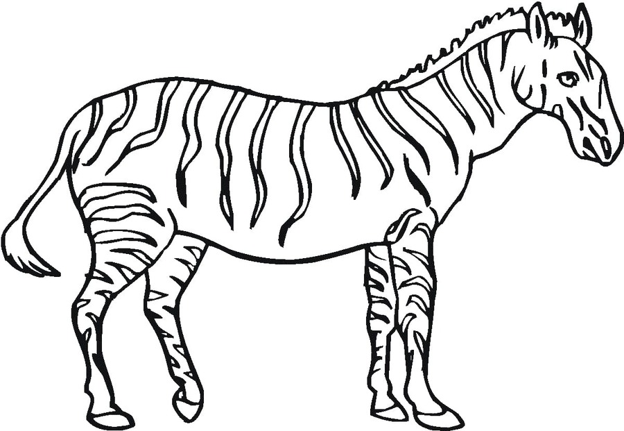 Bojanke Nacrtaj Zebra vrlo lako