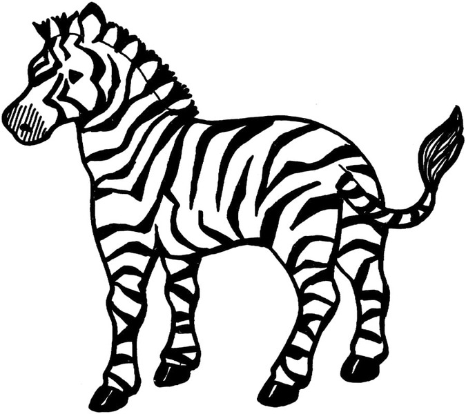 Bojanke Nacrtaj Zebra vrlo prost