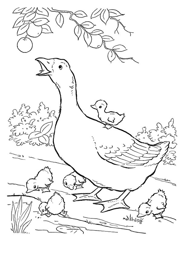 Mother Goose With Goslings 