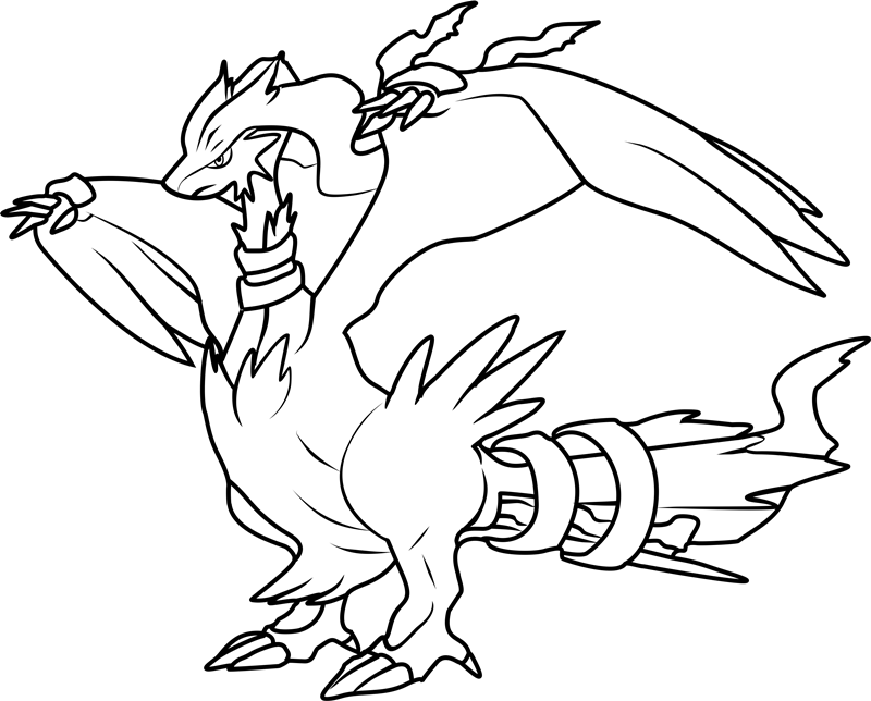 Reshiram Pokemon 