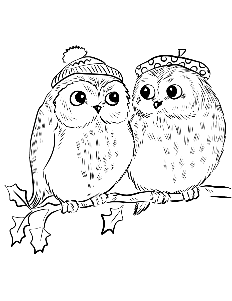 Couple Of Owls 