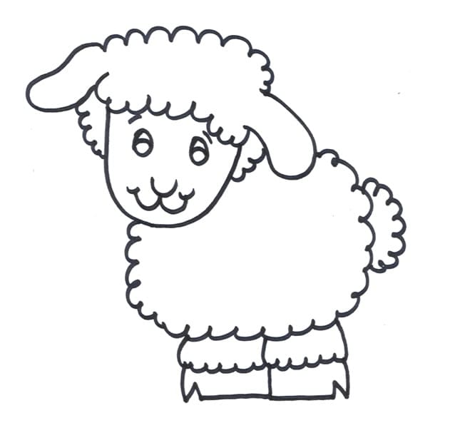 Agnello Carino 