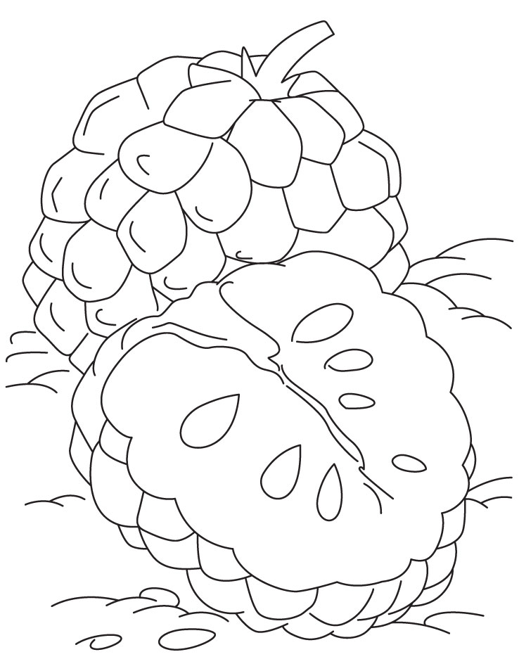 Ananas da colorare