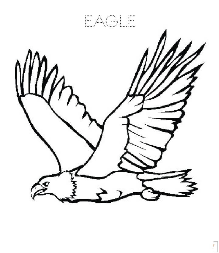 Aquila di Disegno di Base da colorare