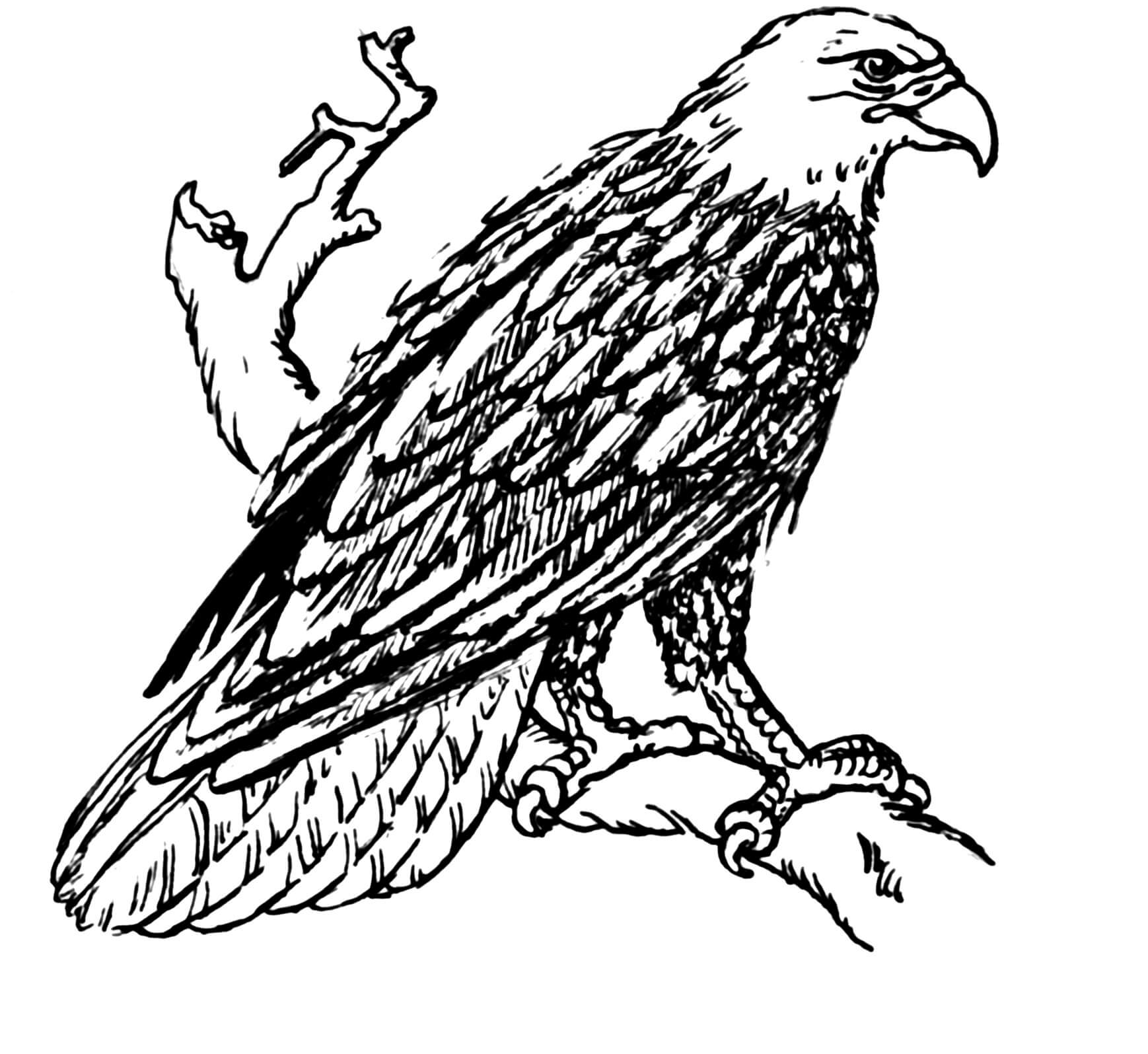 Aquila di Tiraggio della Mano da colorare