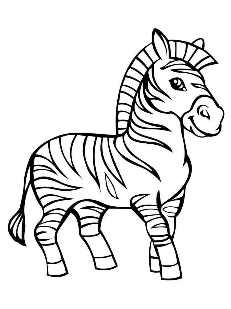 Belle Zebra da colorare