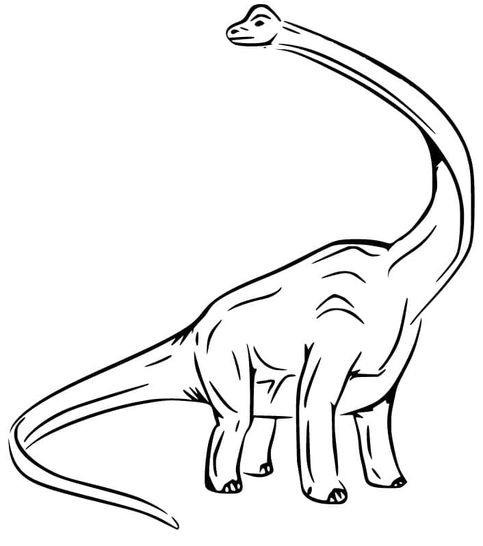 Brachiosauro Enorme da colorare