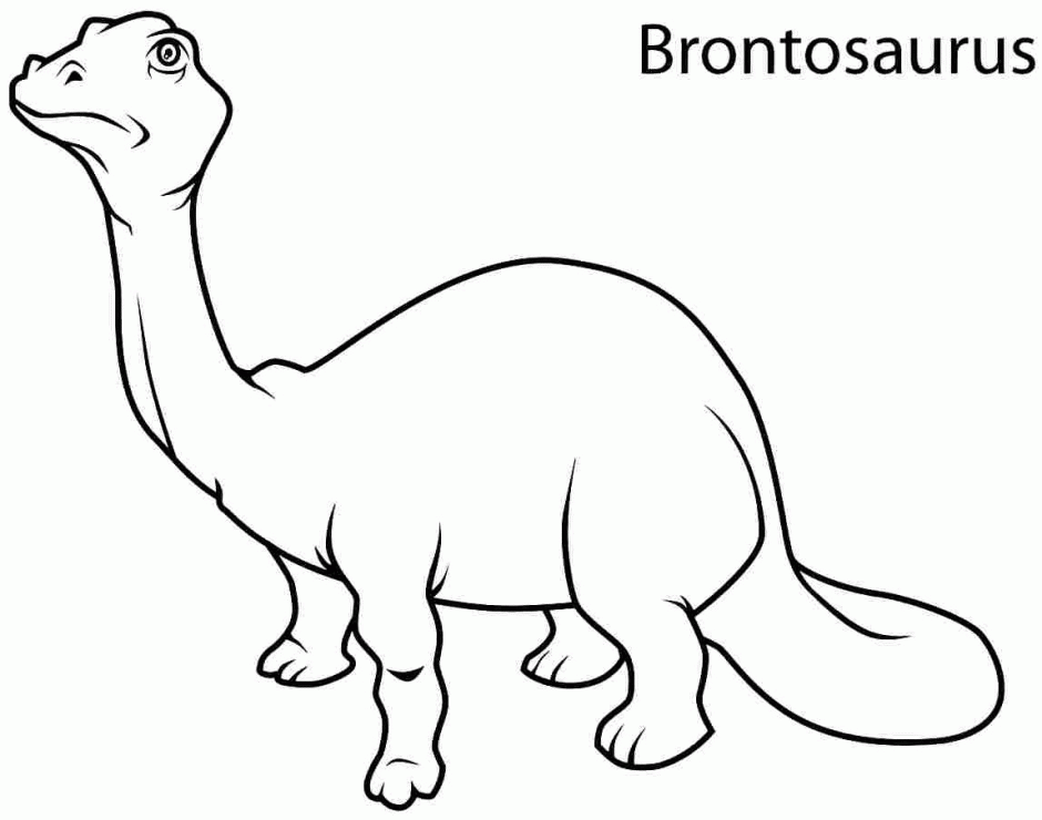 Brontosauro di Base da colorare