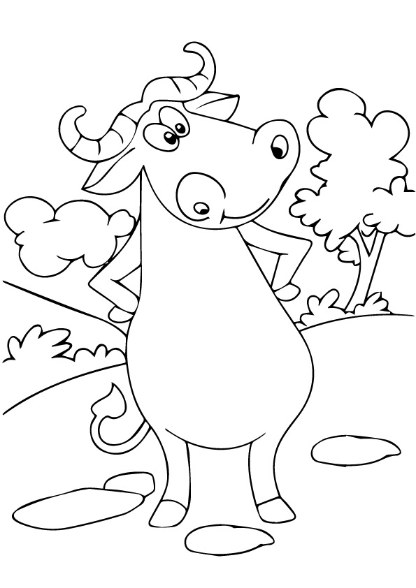 Bufalo carino da colorare