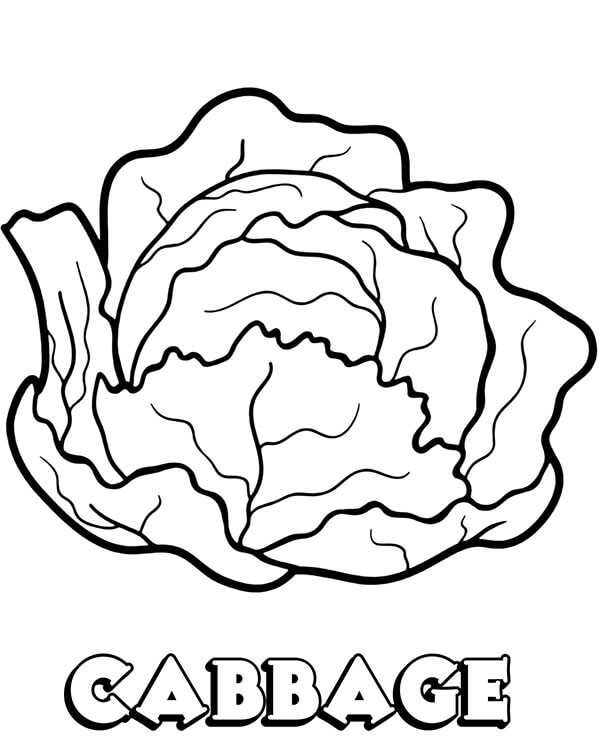Cavolo da colorare
