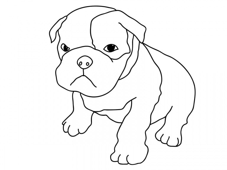 Cucciolo di Bulldog da colorare