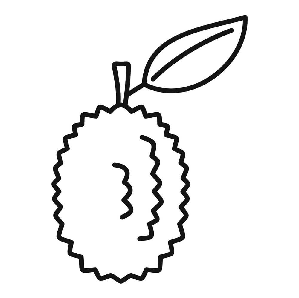 Disegno di Durian da colorare