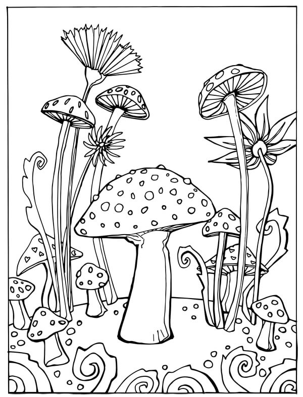 Disegno di Funghi da colorare