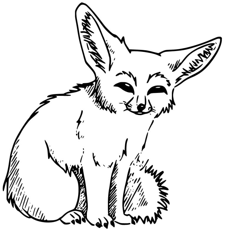 Disegno Fennec Volpe da colorare