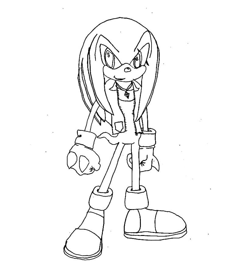 Divertente Knuckles l’Echidna 