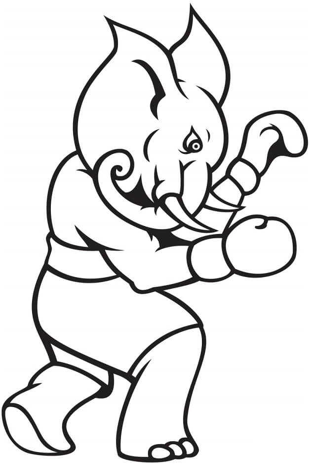 Elefante Giocatore di Boxe da colorare