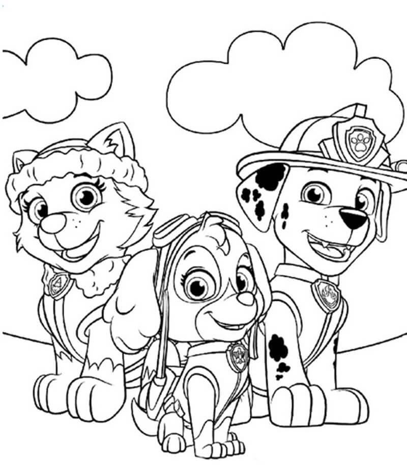 Everest, Skye e Marshall in Paw Patrol da colorare