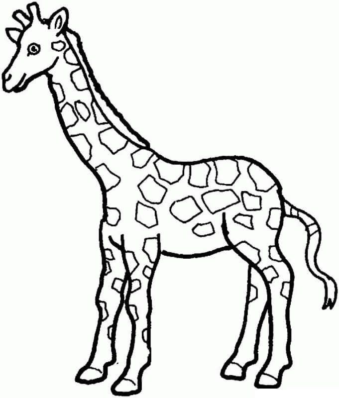 Giraffa di Disegno da colorare