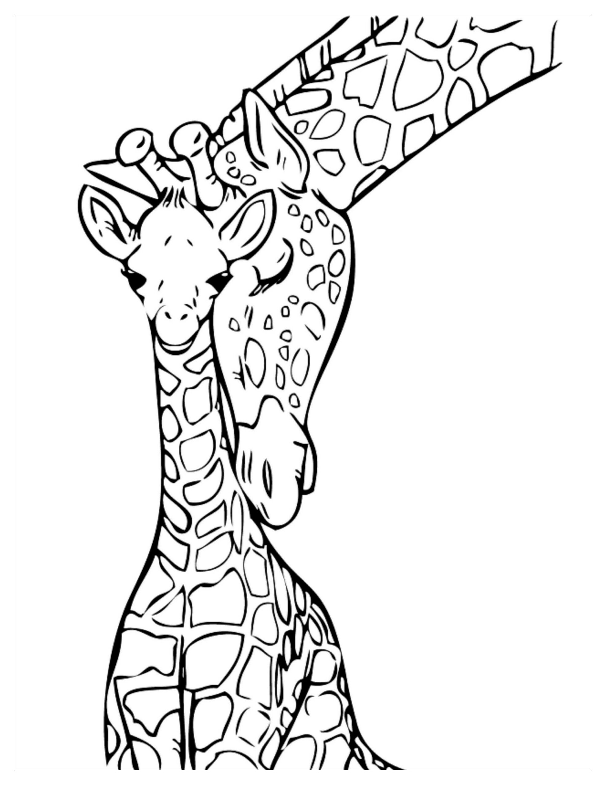 Giraffa per Bambini da colorare