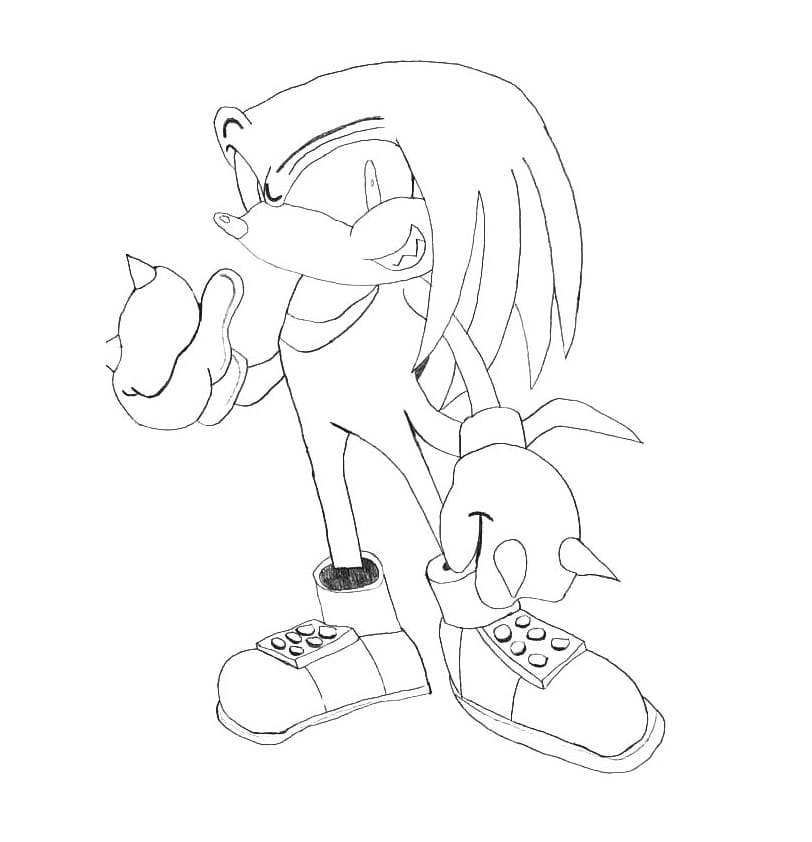 Happy Knuckles l’Echidna 