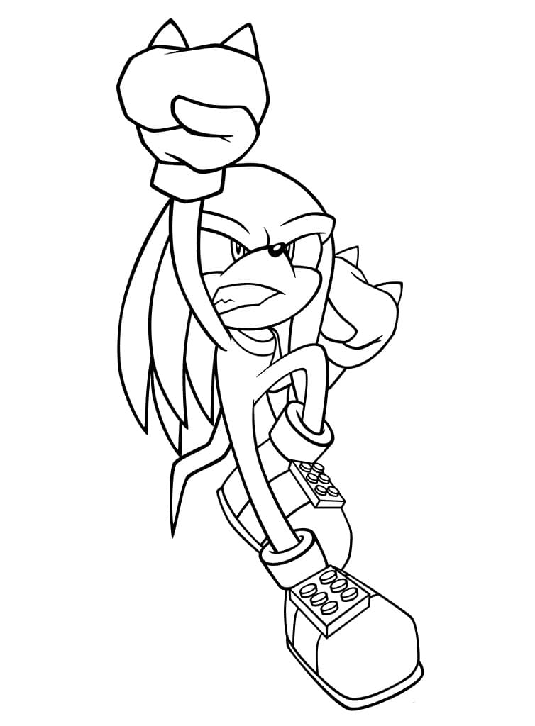 Knuckles i pugni di Echidna 