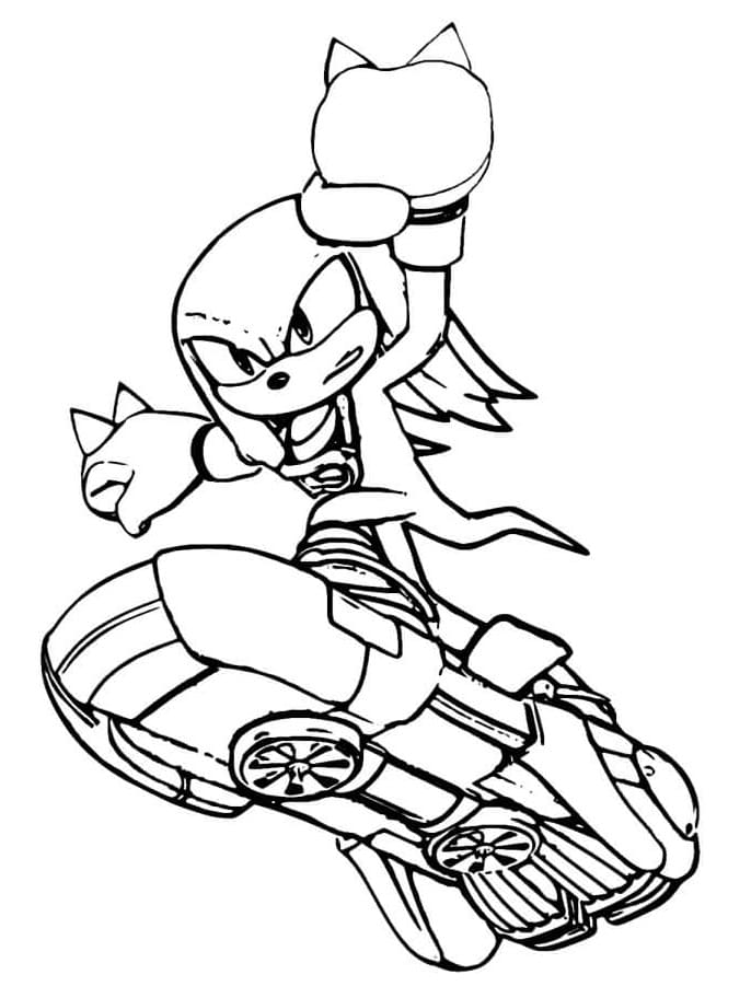 Knuckles l’echidna a bordo 