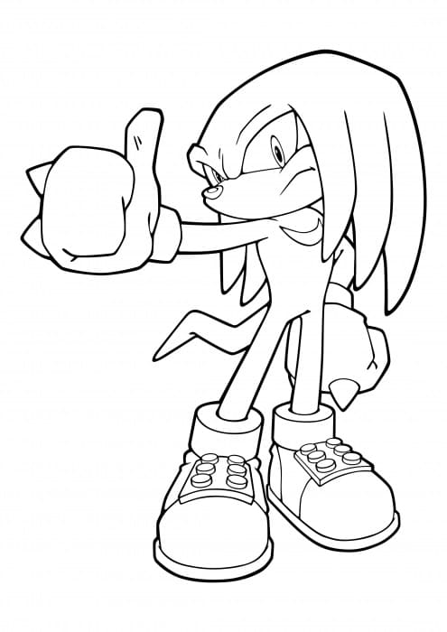 Knuckles l’echidna è fantastico 