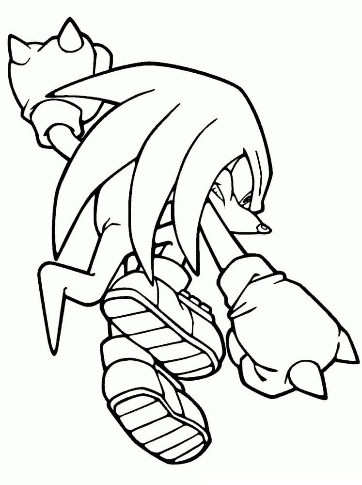 Knuckles l’Echidna Lotta 
