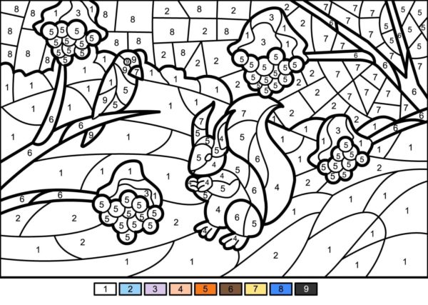 Lo scoiattolo rosicchia le noci da colorare