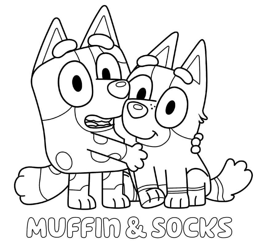 Muffin e Socks 