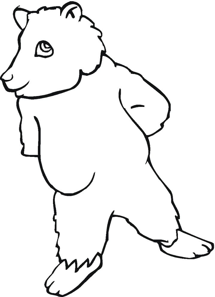 Orso Bruno Animato da colorare