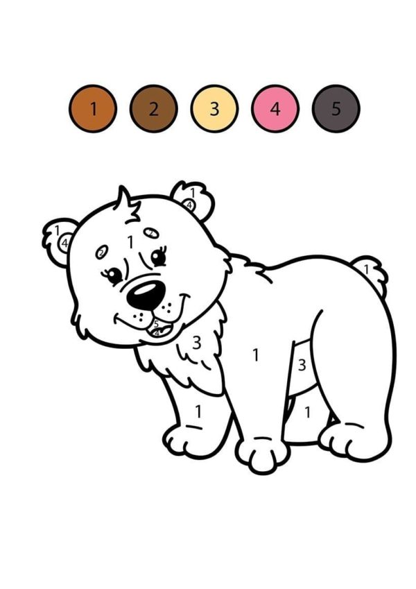 Orso bruno da colorare