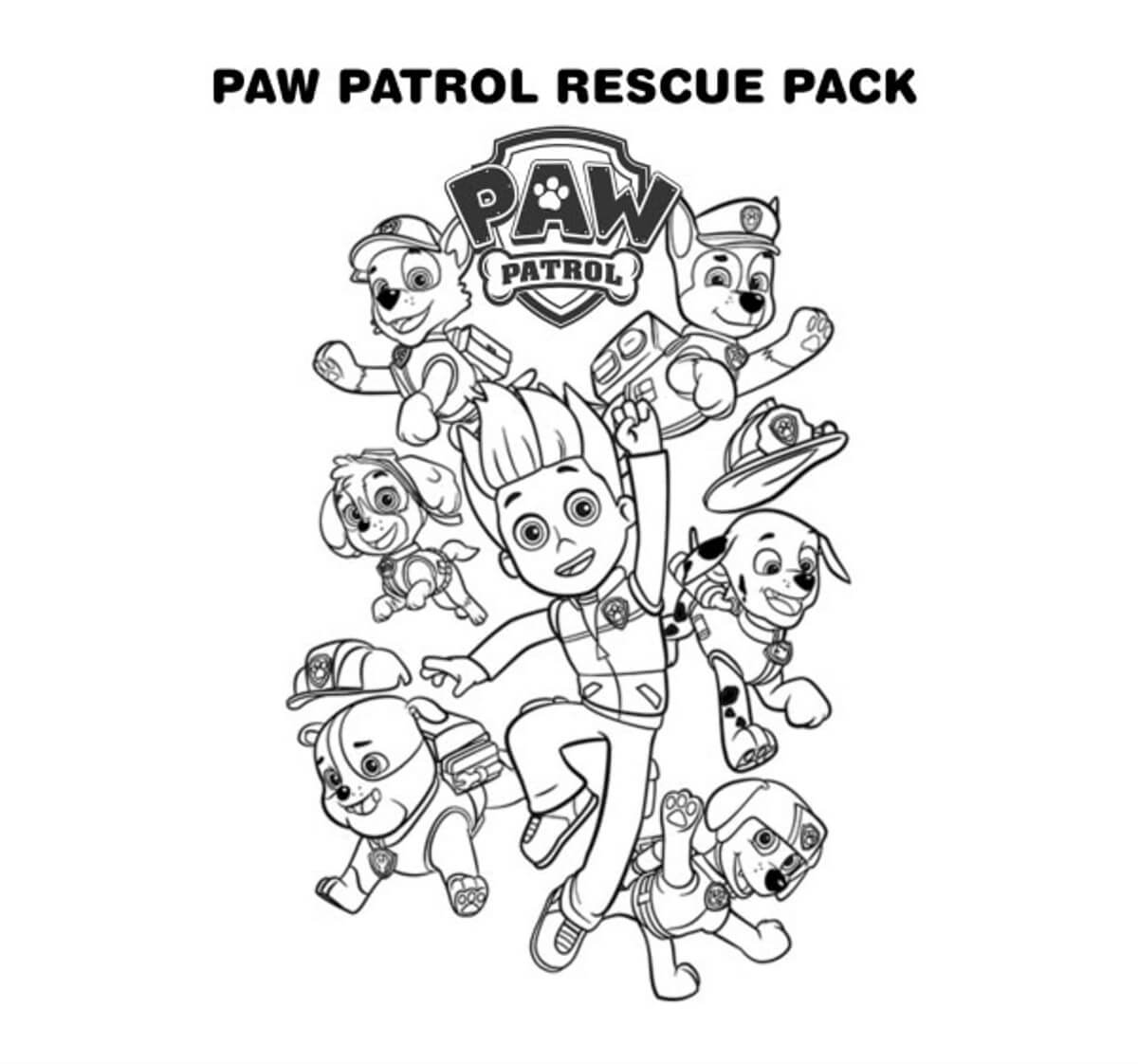 Pacchetto di Salvataggio Ryder di Paw Patrol 